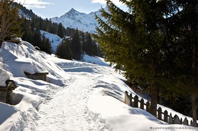 Chemin d'accès